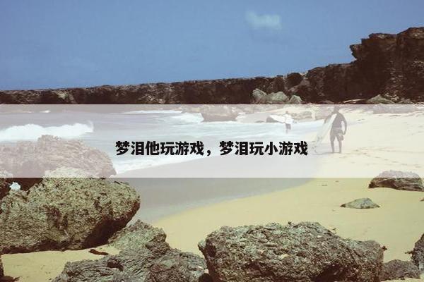 梦泪他玩游戏，梦泪玩小游戏