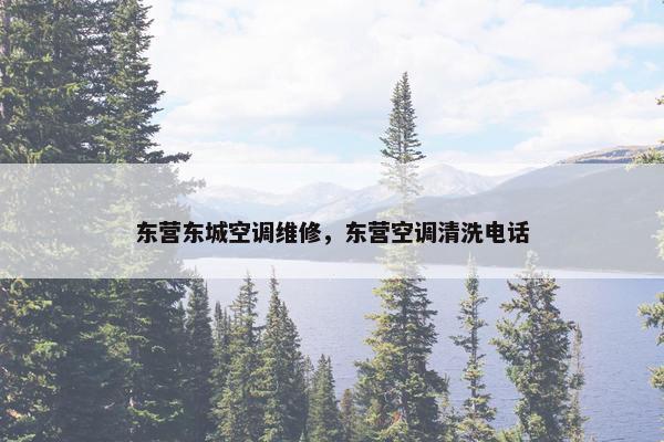 东营东城空调维修，东营空调清洗电话