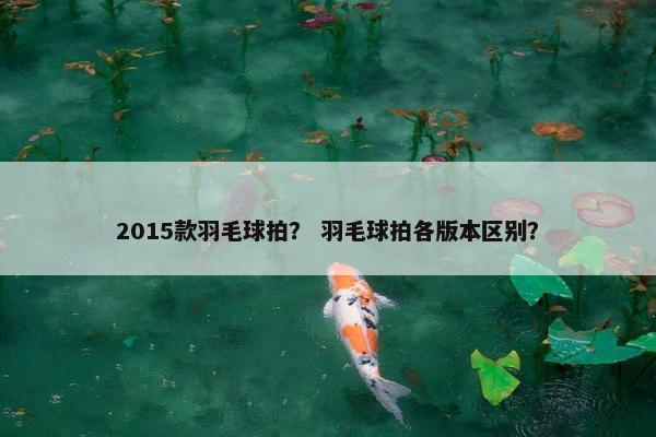 2015款羽毛球拍？ 羽毛球拍各版本区别？
