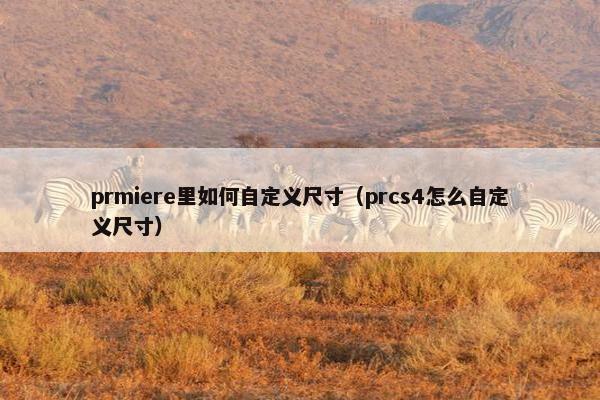prmiere里如何自定义尺寸（prcs4怎么自定义尺寸）