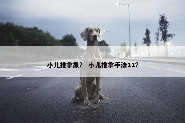 小儿推拿象？ 小儿推拿手法11？