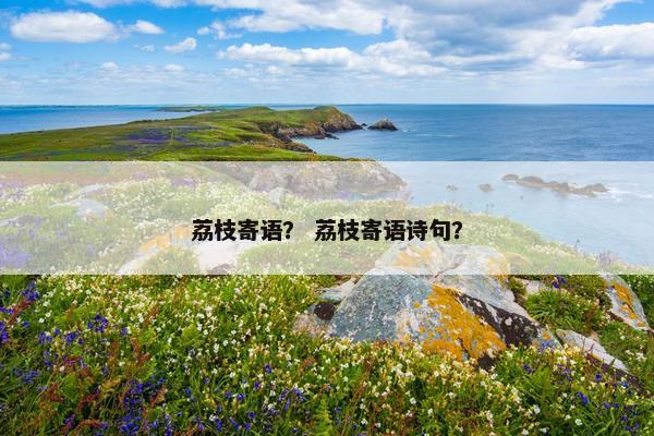 荔枝寄语？ 荔枝寄语诗句？