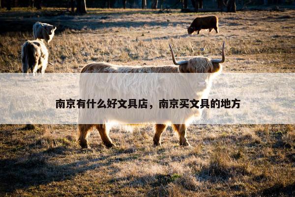 南京有什么好文具店，南京买文具的地方