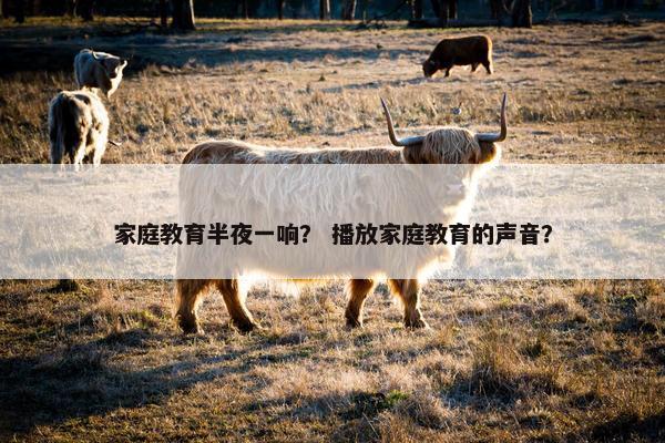 家庭教育半夜一响？ 播放家庭教育的声音？