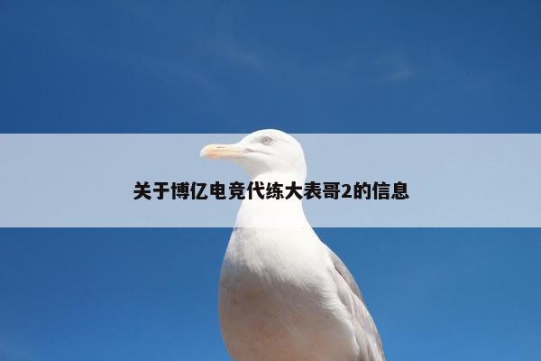 关于博亿电竞代练大表哥2的信息