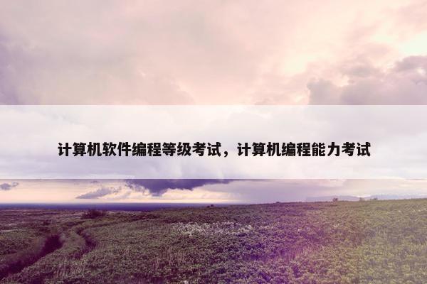 计算机软件编程等级考试，计算机编程能力考试