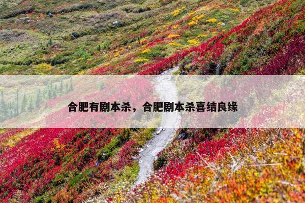 合肥有剧本杀，合肥剧本杀喜结良缘