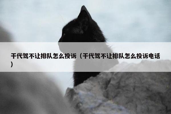 干代驾不让排队怎么投诉（干代驾不让排队怎么投诉电话）