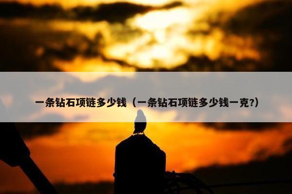 一条钻石项链多少钱（一条钻石项链多少钱一克?）