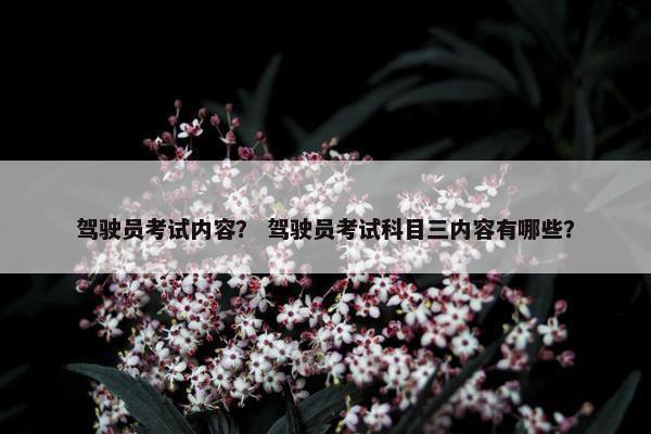 驾驶员考试内容？ 驾驶员考试科目三内容有哪些？