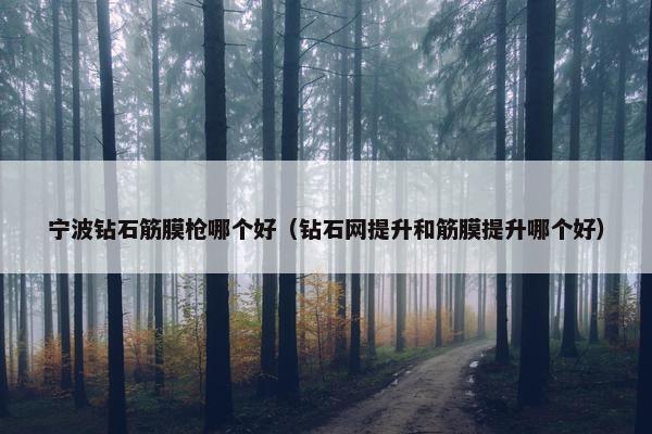 宁波钻石筋膜枪哪个好（钻石网提升和筋膜提升哪个好）