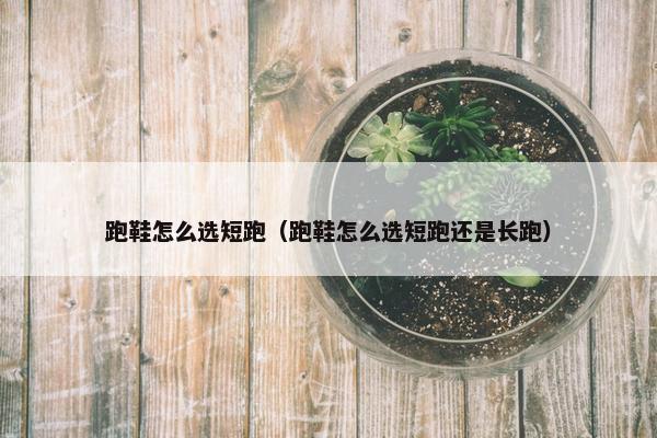 跑鞋怎么选短跑（跑鞋怎么选短跑还是长跑）